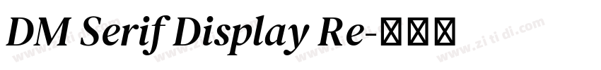 DM Serif Display Re字体转换